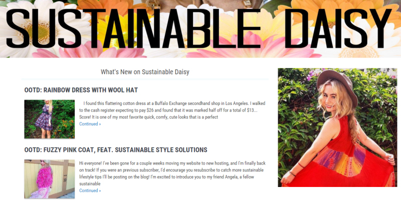 Sustainable Daisy Blog