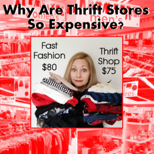 Why Are Thrift Stores So Expensive Confessions Of A Refashionista